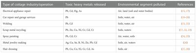 Soil pollution and agriculture in sub-Saharan Africa: State of the knowledge and remediation technologies